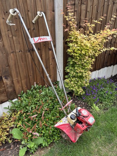 Mantis tiller two stroke - mantis,