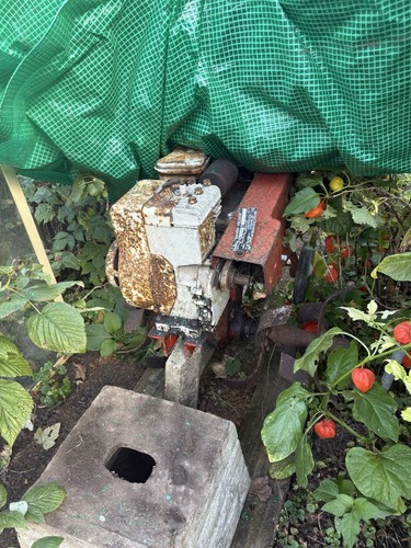 Wolsley 3hp merry tiller - wolsley,