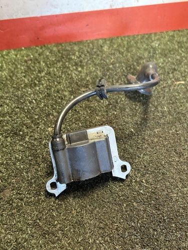 Eckman ptc1 stroke - ptc1, 2-stroke